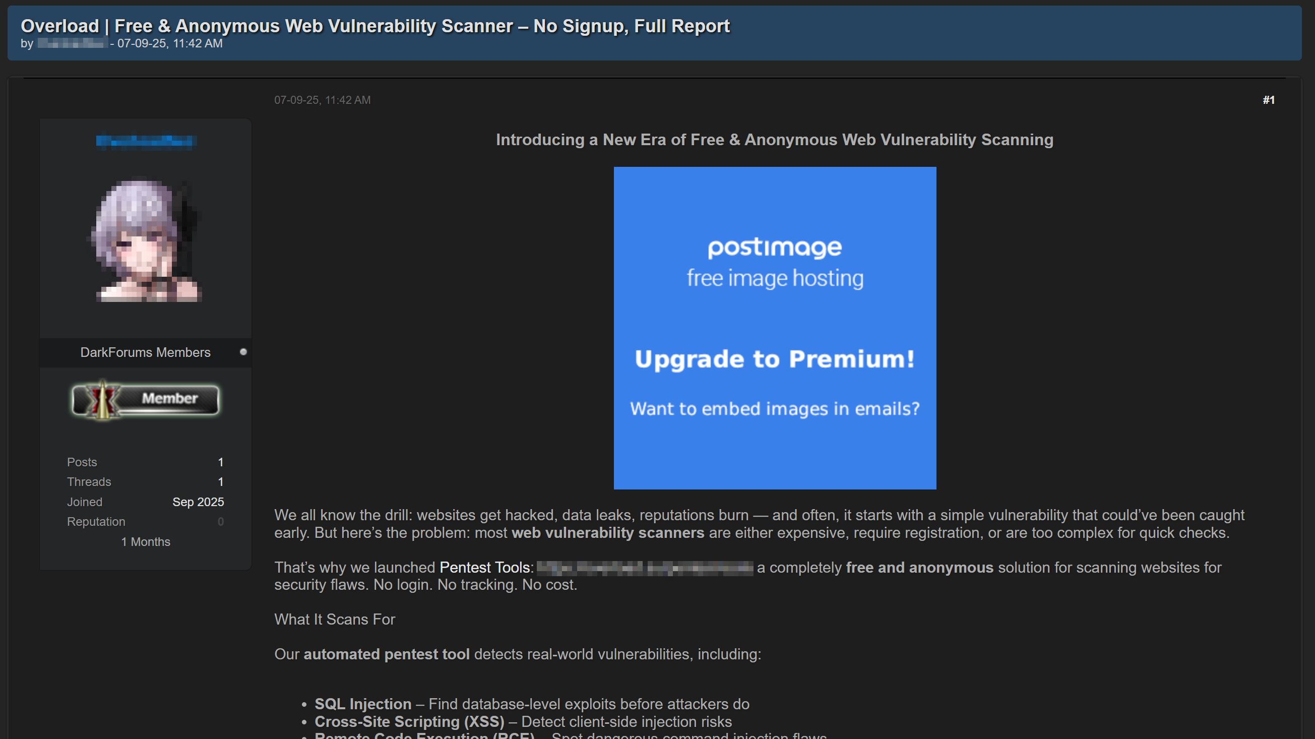 Рисунок 11. Объявление с предложением бесплатного сканера уязвимостей с премиум-режимом