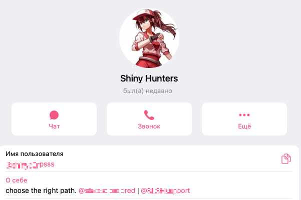 Рисунок 22. Telegram-аккаунт, якобы принадлежащий ShinyHunters