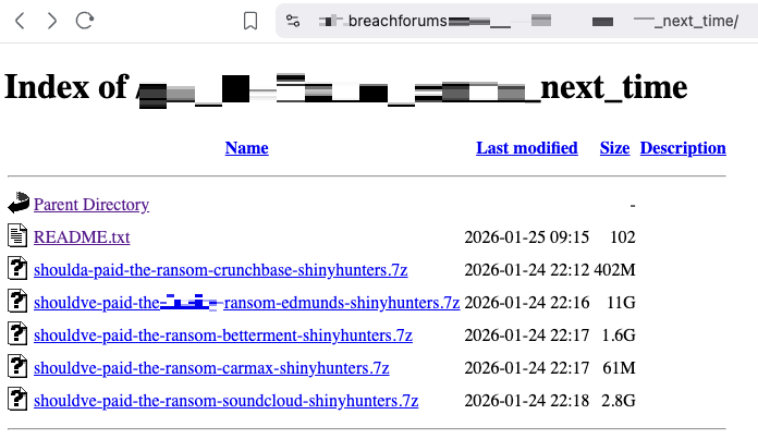 Рисунок 33. Публикация баз данных на поддомене BreachForums
