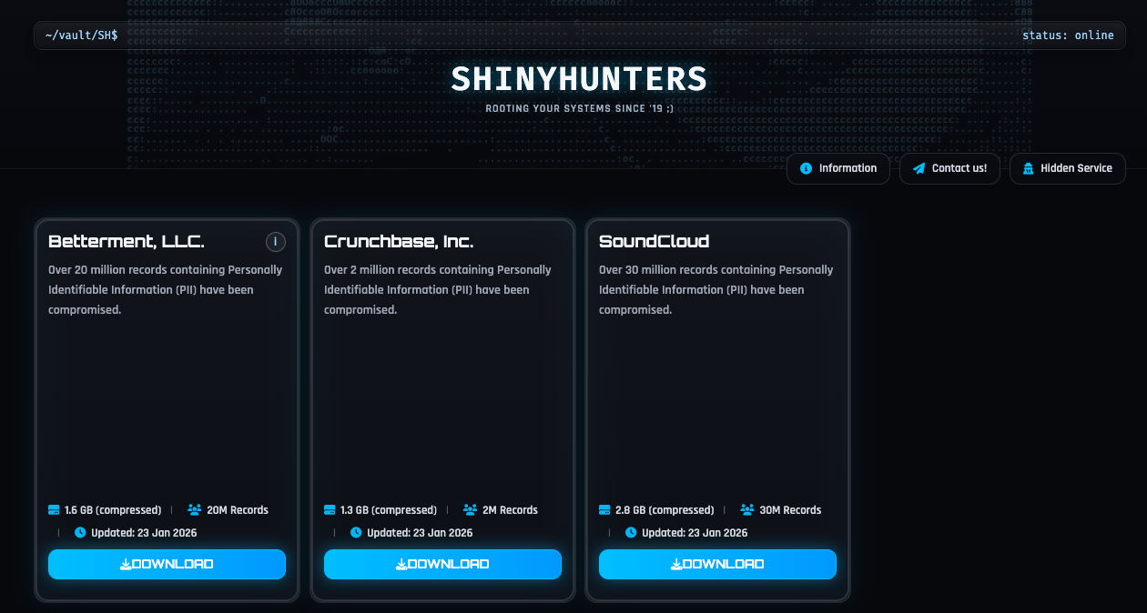 Рисунок 41. DLS группировки ShinyHunters