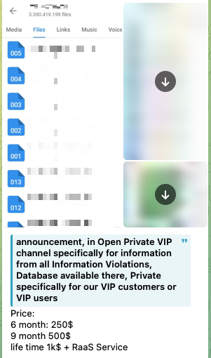 Рисунок 45. Сообщение о продаже доступа в приватный канал Babuk
