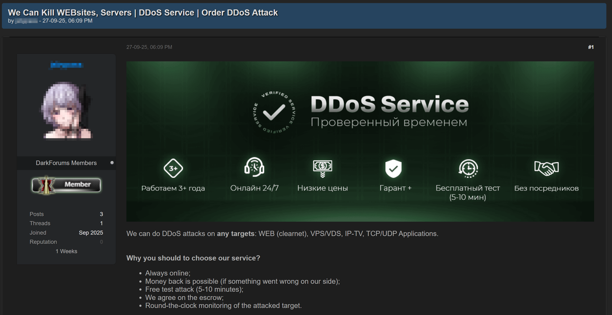 Рисунок 60. Объявление о продаже услуг по проведению DDoS-атак